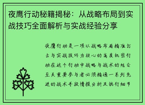夜鹰行动秘籍揭秘：从战略布局到实战技巧全面解析与实战经验分享